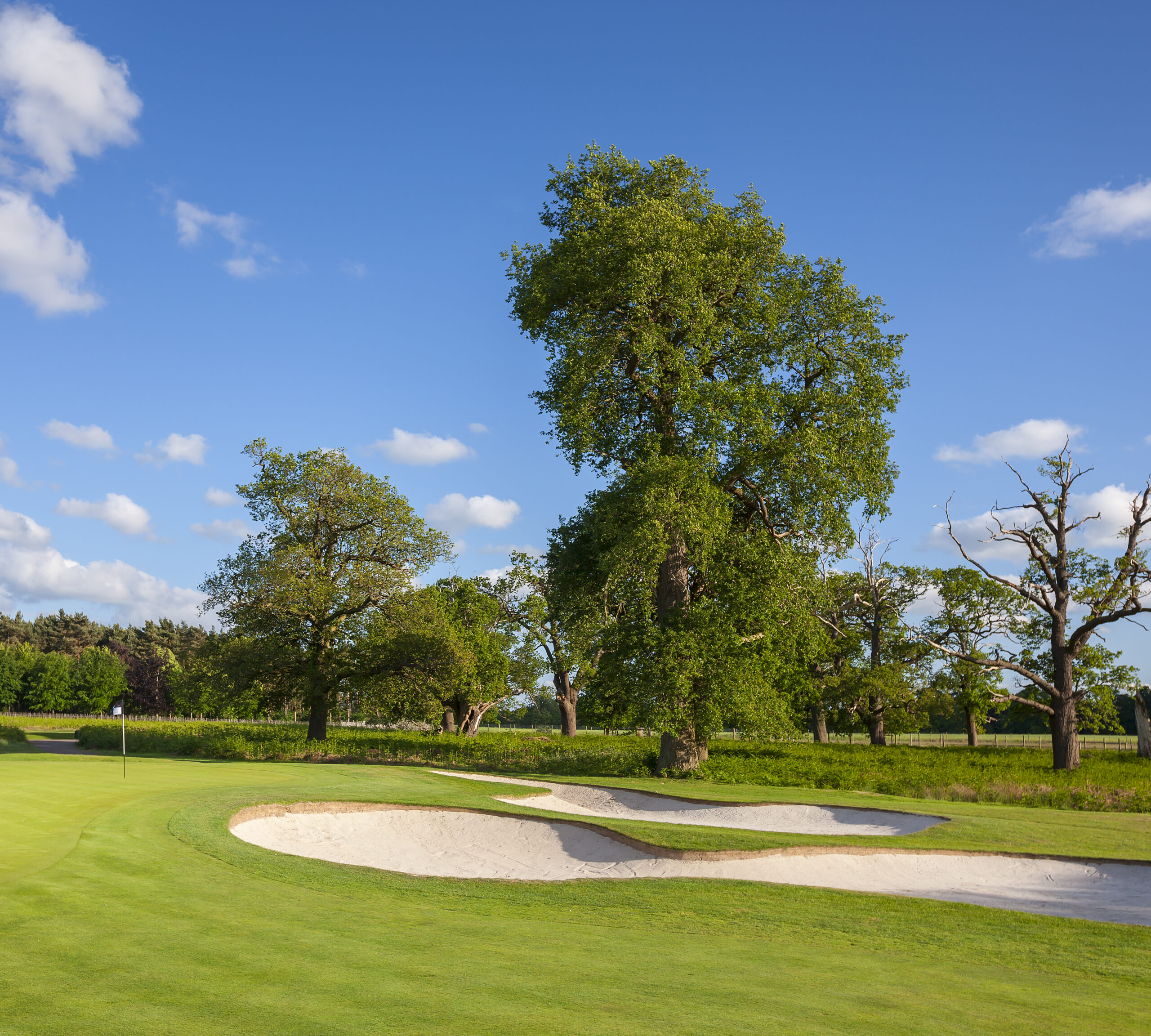 Forest of Arden golf course