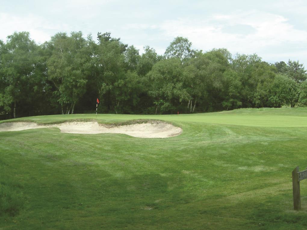 Moors Valley Golf Club course