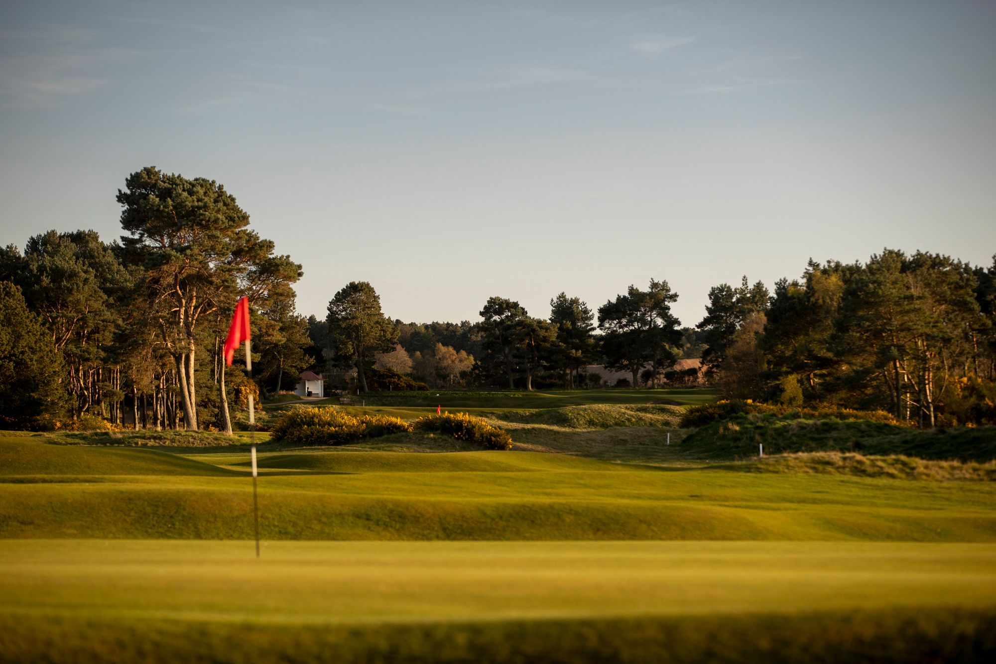 Nairn Golf Club Championship Course in the Scottish Highlands