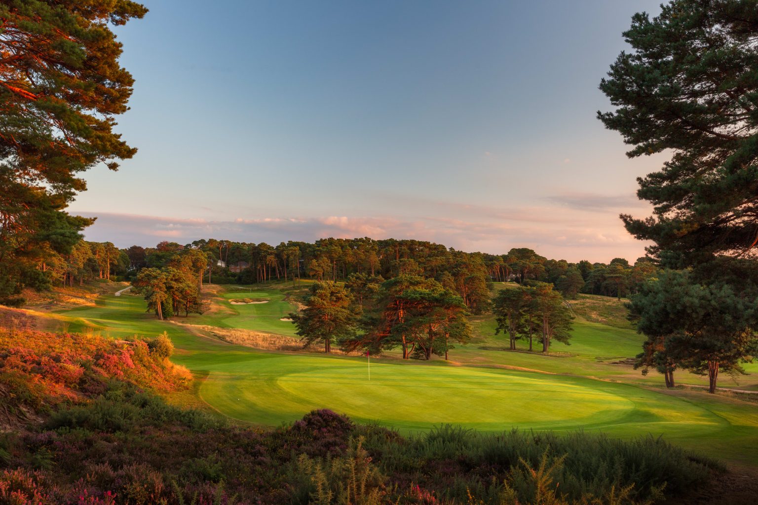 Parkstone Golf Club heathland course with pines, heather, bunkers and green