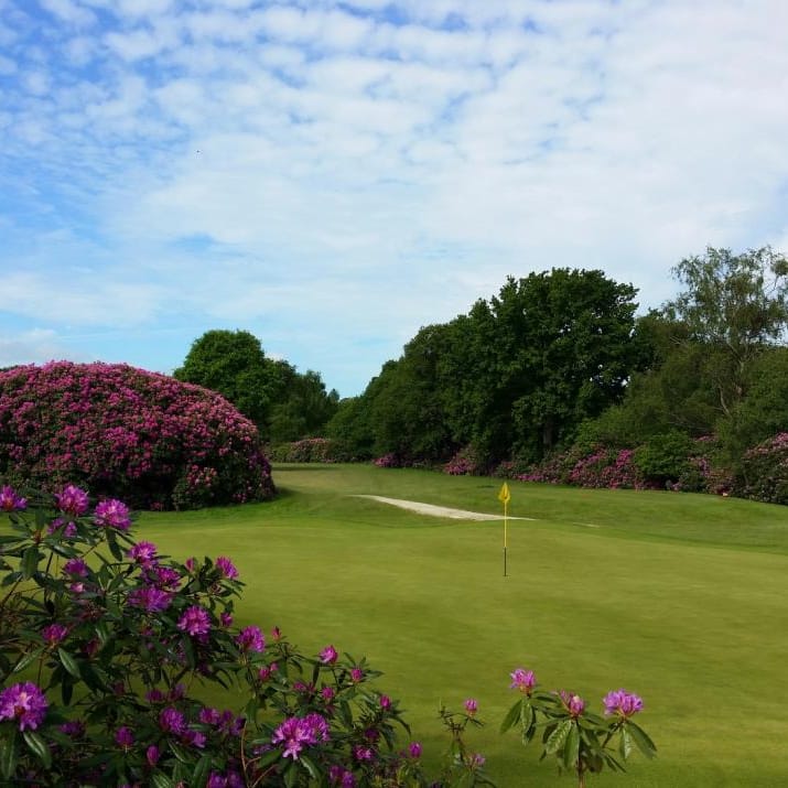 The Dorset Golf and Country Club course